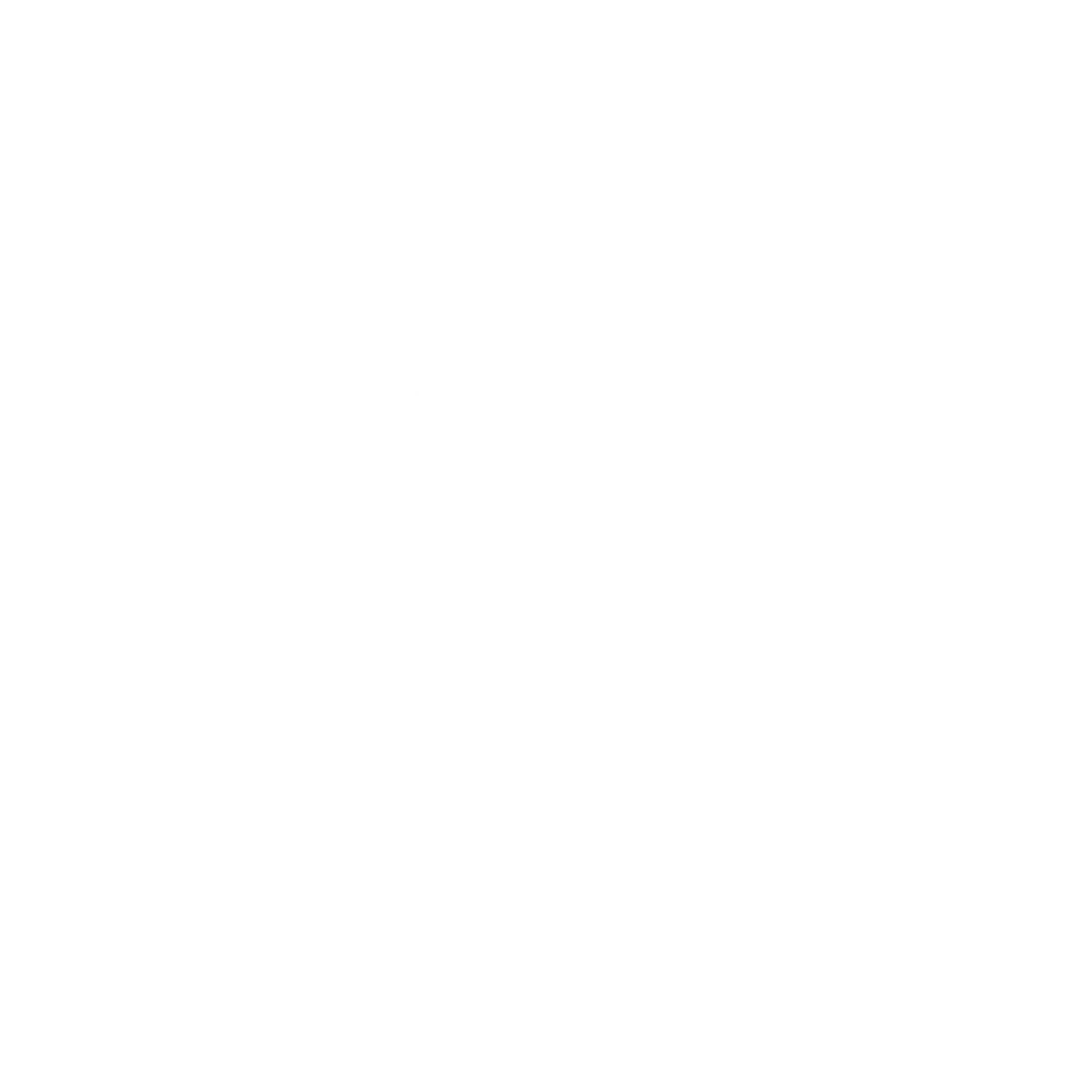 BSSP Logo